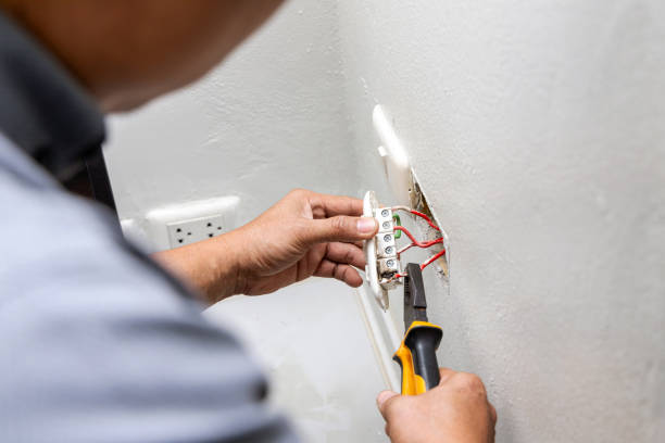 Best Electric Panel Repair  in Brookridge, FL